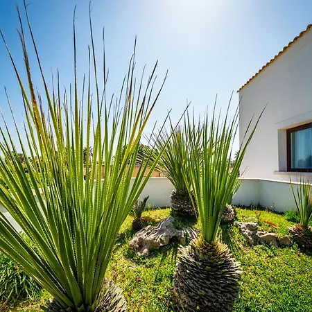 Elen Marsala