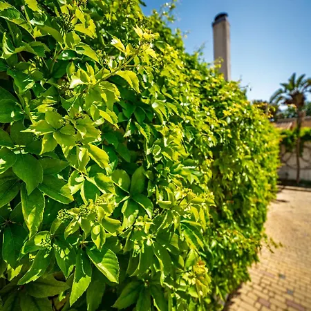 Apartmán Elen Marsala